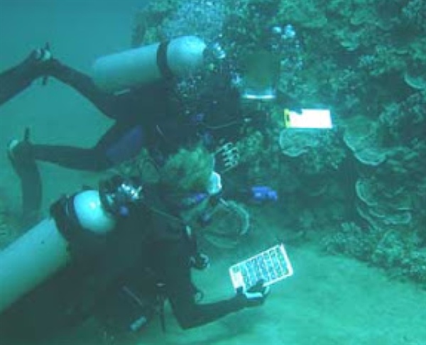 How Do Divers Communicate?