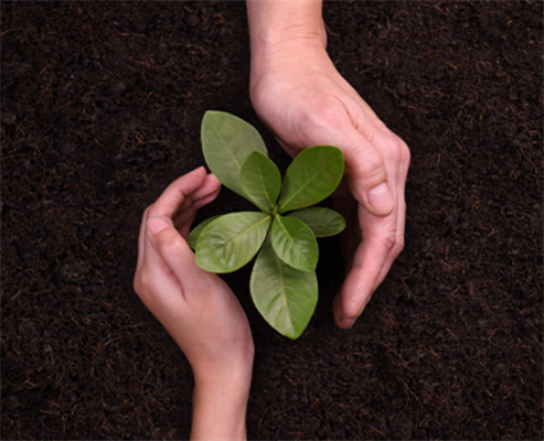 Recording - A Clear Commitment to a Sustainable Future