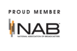 NAB company logo